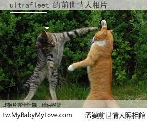 ultrafleet 的前世情人