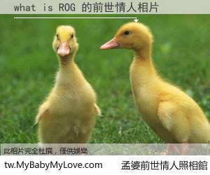 what is ROG 的前世情人