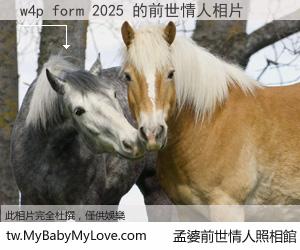 w4p form 2025 的前世情人