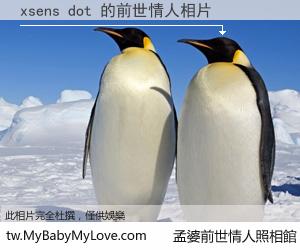 xsens dot 的前世情人