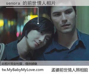 senora 的前世情人