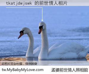 tkatjdwjswk 的前世情人
