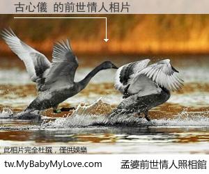 古心儀 的前世情人