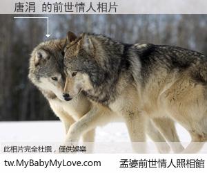 唐涓 的前世情人