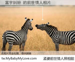 富宇糾紛 的前世情人