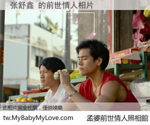 张舒鑫 的前世情人