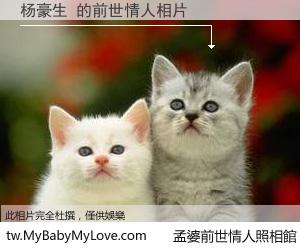 杨豪生 的前世情人