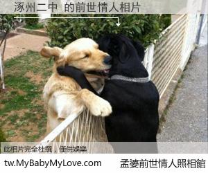 涿州二中 的前世情人