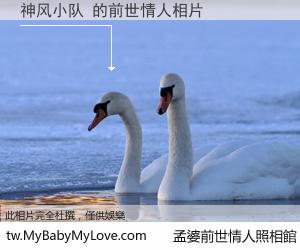 神风小队 的前世情人