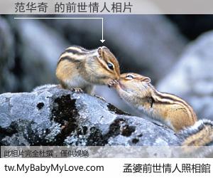 范华奇 的前世情人