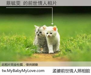 蔡毓雯 的前世情人