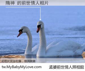 隋神 的前世情人