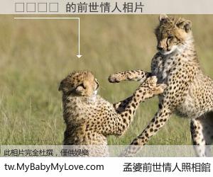 땡기잡다 的前世情人