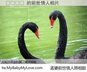 메레디스 的前世情人