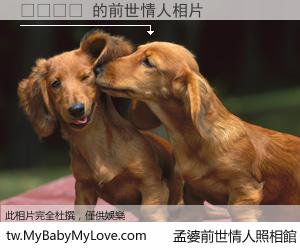 엘소드몰 的前世情人