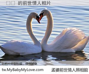 조취 的前世情人