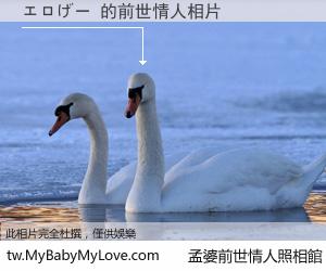 エロげー 的前世情人