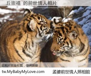 丘崇禧 的前世情人