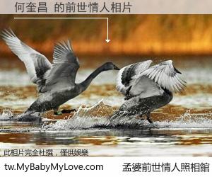 何奎昌 的前世情人