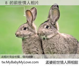 8 的前世情人
