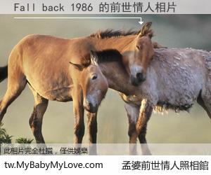 Fall back 1986 的前世情人