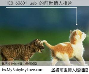 IEC 60601 usb 的前世情人