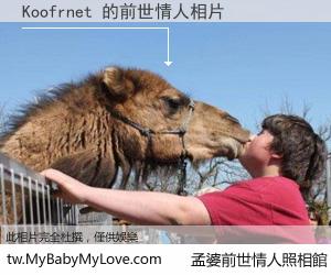 Koofrnet 的前世情人