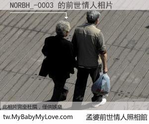 NORBH_-0003 的前世情人