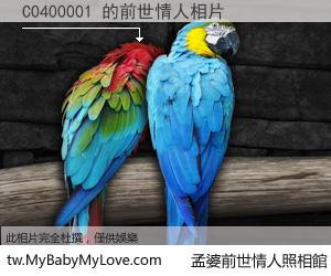 C0400001 的前世情人