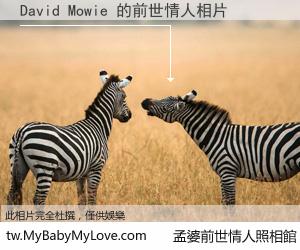 David Mowie 的前世情人