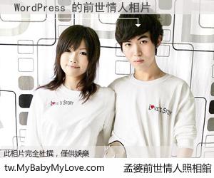 WordPress 的前世情人