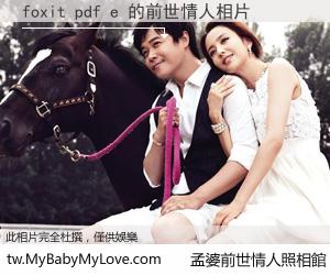 foxit pdf e 的前世情人