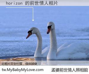 horizon 的前世情人