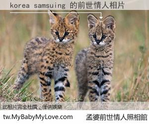 korea samsuing 的前世情人
