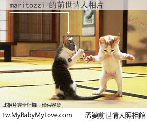 maritozzi 的前世情人
