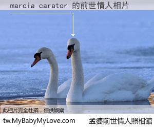 marcia carator 的前世情人