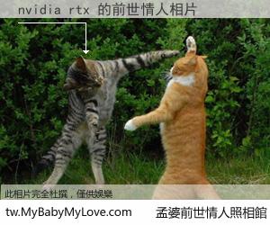 nvidia rtx 的前世情人