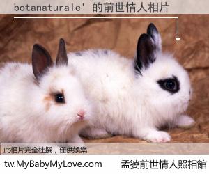 botanaturale' 的前世情人