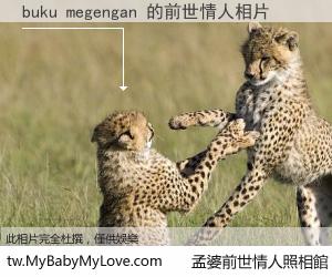 buku megengan 的前世情人