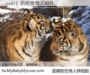 cod12 的前世情人