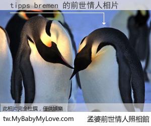 tipps bremen 的前世情人