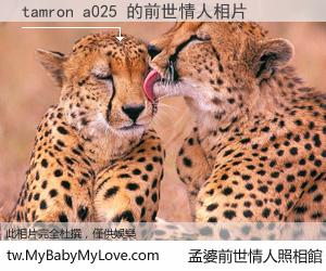 tamron a025 的前世情人