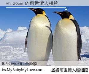 vn zoom 的前世情人