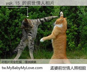 yqk.15 的前世情人