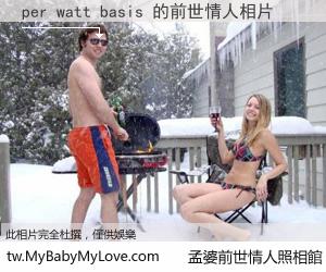 per watt basis 的前世情人