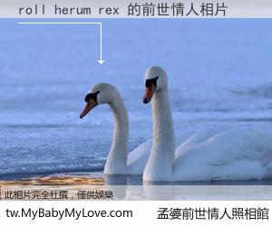 roll herum rex 的前世情人