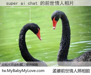 super ai chat 的前世情人