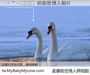 ����� 的前世情人