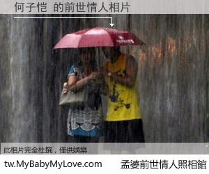 何子恺 的前世情人