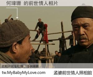 何瑋珊 的前世情人